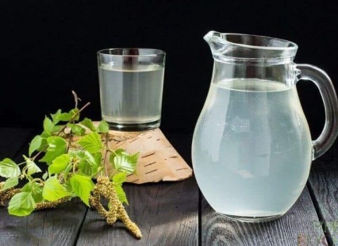 تصویر 1 از فروش عرق بیدمشک سنتی + قیمت خرید به صرفه